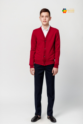 Burgundy blouse