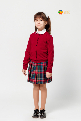 Burgundy blouse