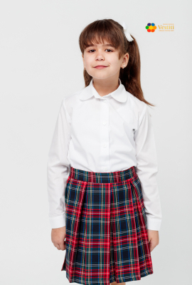 Plaid pleated skirt (large)